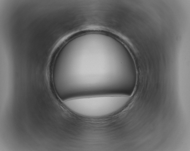 X0000112081319200908041003