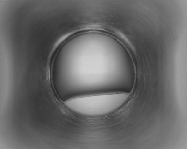 X0000112081320200908041003