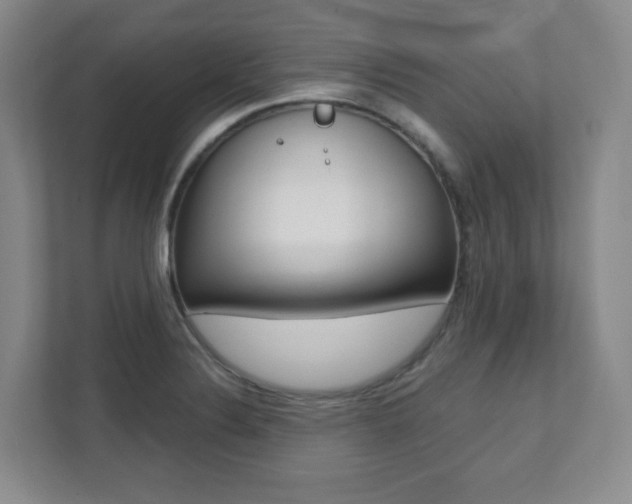 X0000112081324200908041003