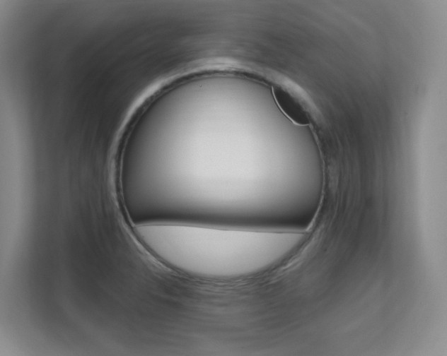 X0000112081326200908041003