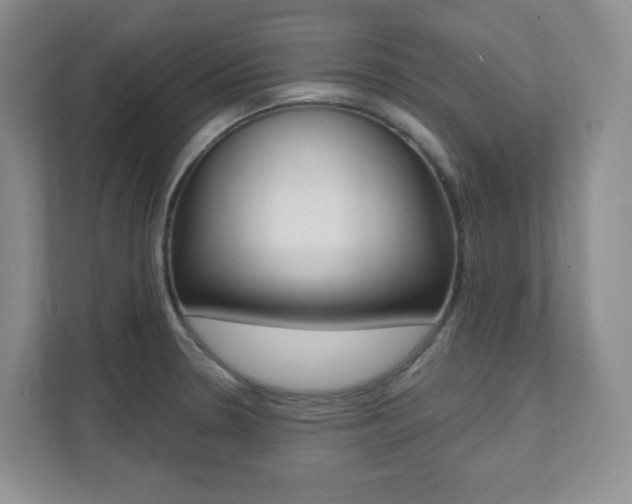 X0000112081330200908041003