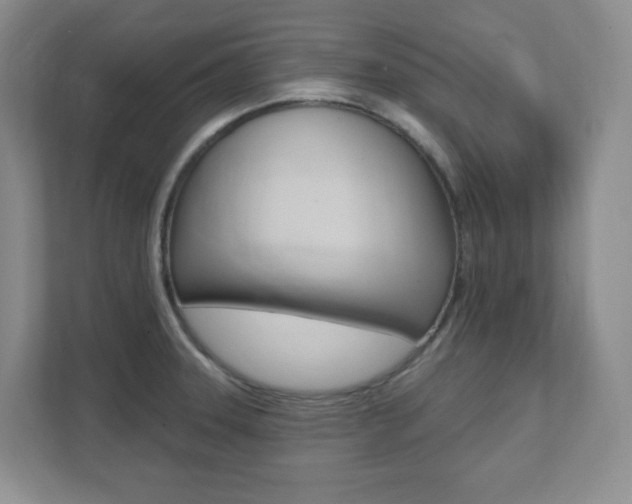 X0000112081331200908041003