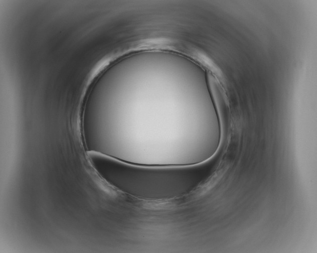 X0000112081336200908041003