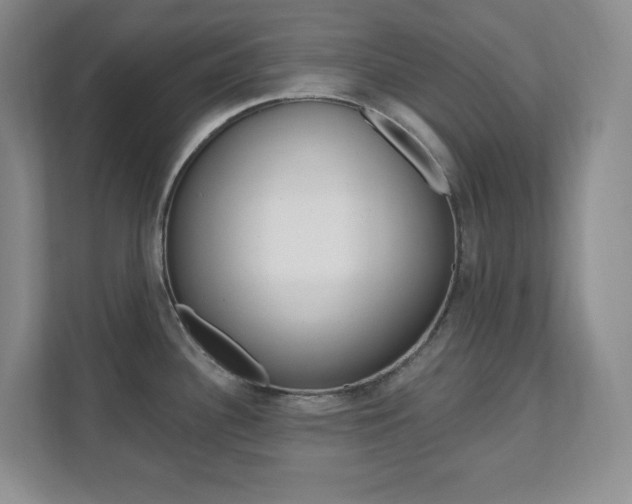 X0000112081340200908041003