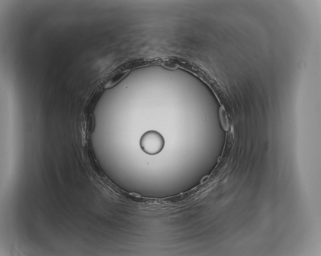 X0000112081348200908041002