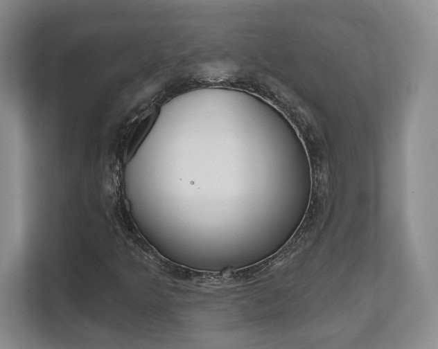X0000112081349200908041002