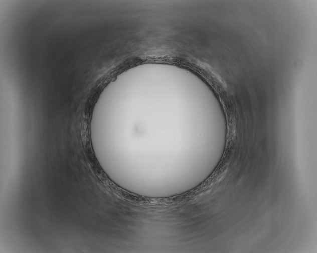 X0000112081350200908041002