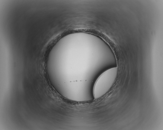 X0000112081351200908041002