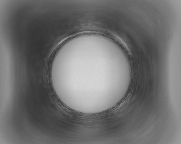 X0000112081352200908041002