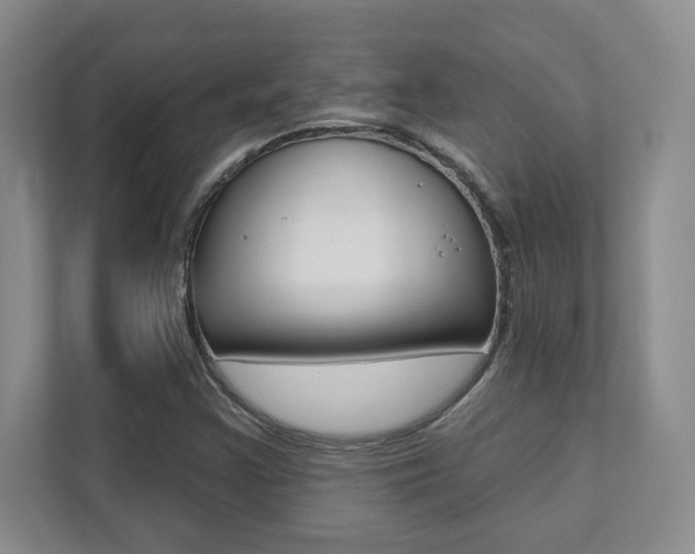 X0000112081355200908041002