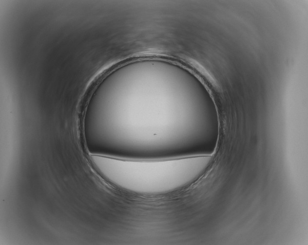 X0000112081356200908041002