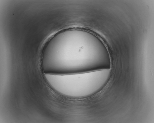 X0000112081359200908041002