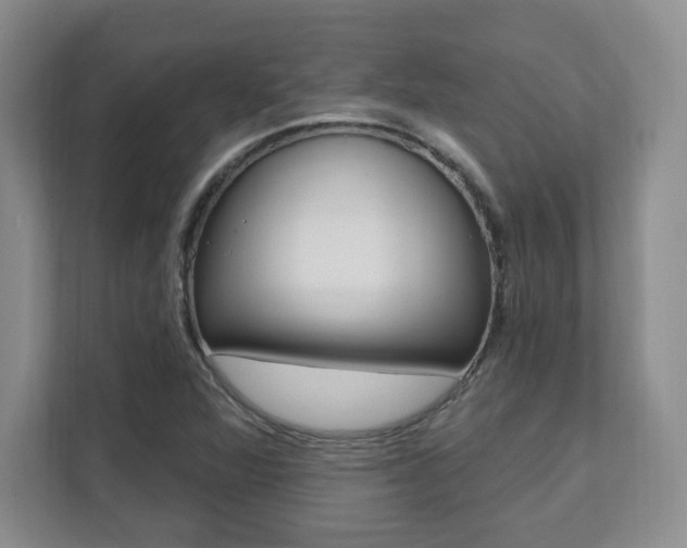 X0000112081360200908041002
