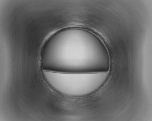 X0000112081363200908041002