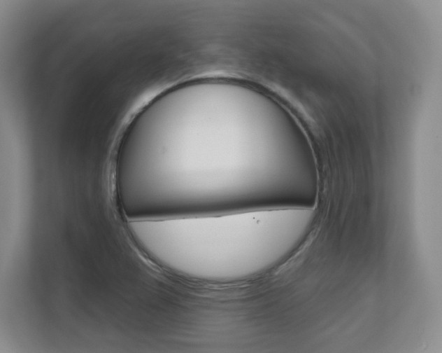 X0000112081367200908041002