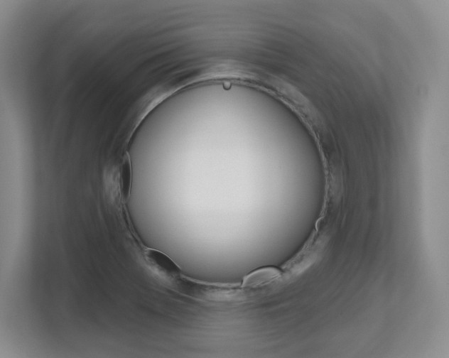 X0000112081369200908041002
