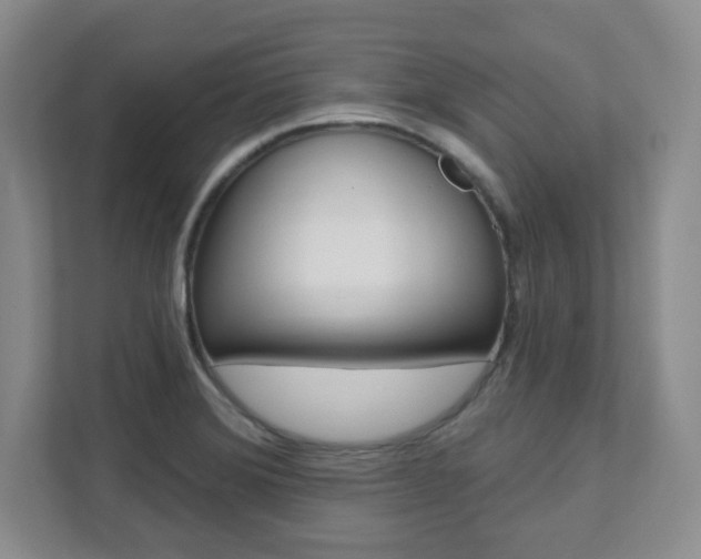 X0000112081372200908041002