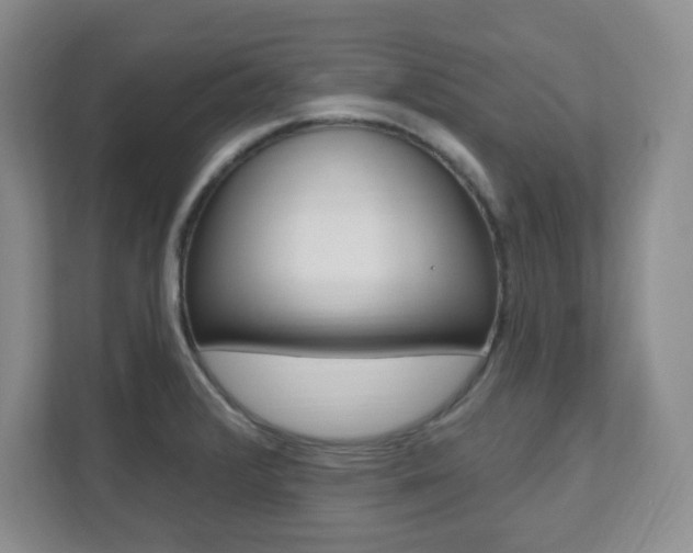 X0000112081376200908041002