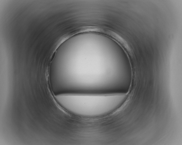 X0000112081377200908041002