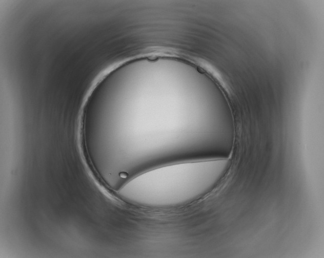 X0000112081379200908041002