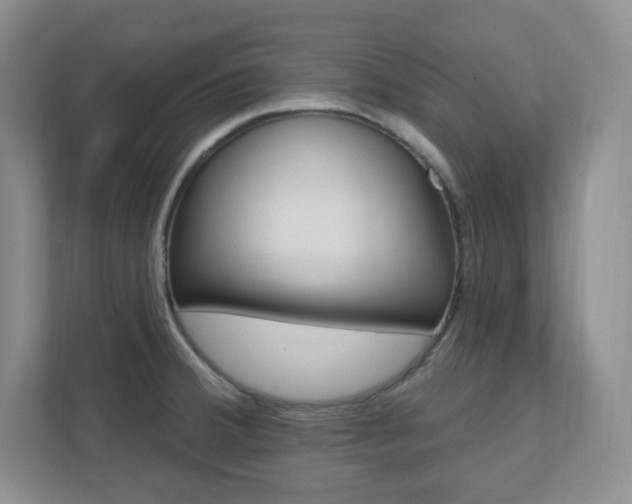 X0000112081380200908041002