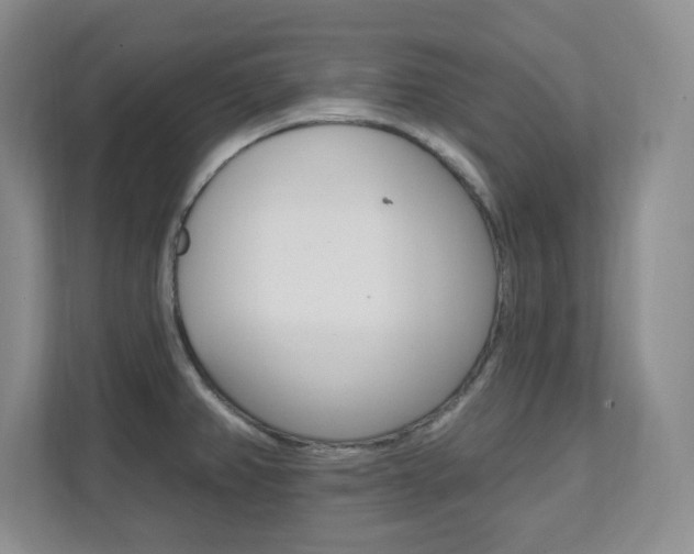 X0000112081382200908041002