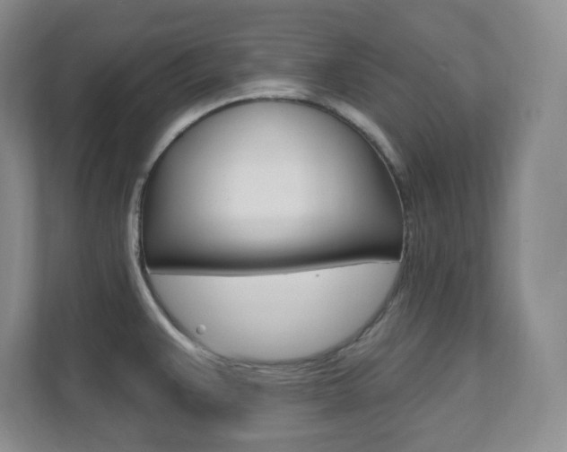 X0000112081383200908041002