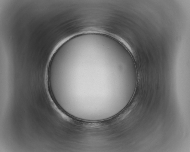 X0000112081387200908041002