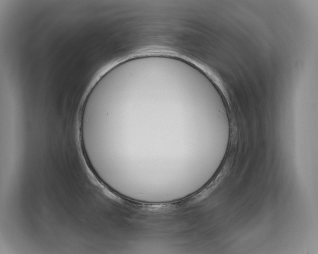 X0000112081390200908041002