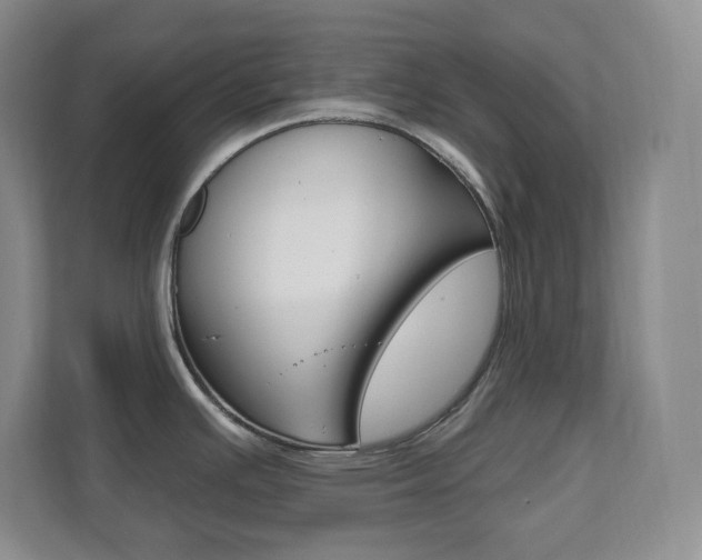 X0000112081391200908041002