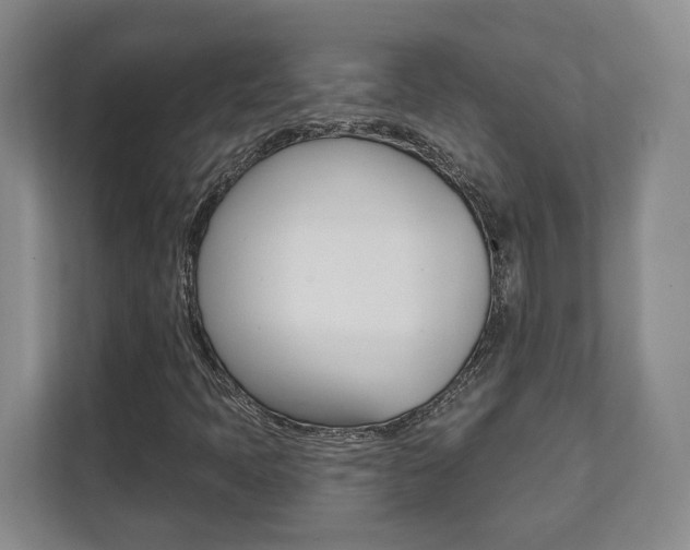 X0000112081397200908041001