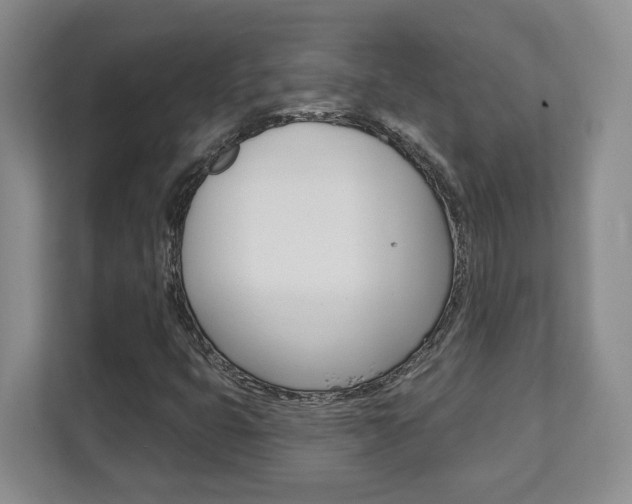 X0000112081399200908041001