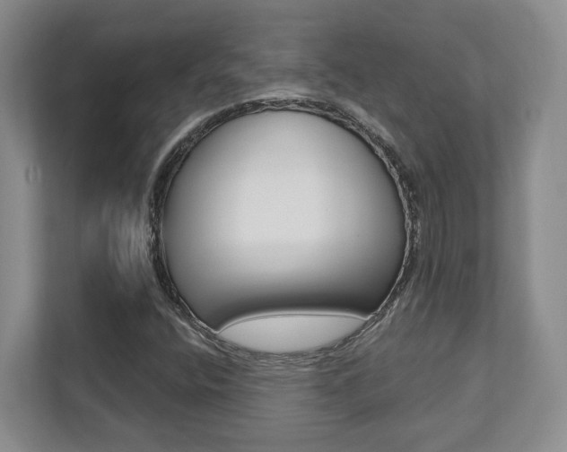X0000112081400200908041001
