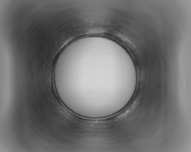 X0000112081401200908041001