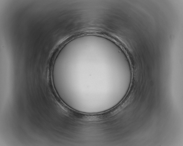 X0000112081402200908041001