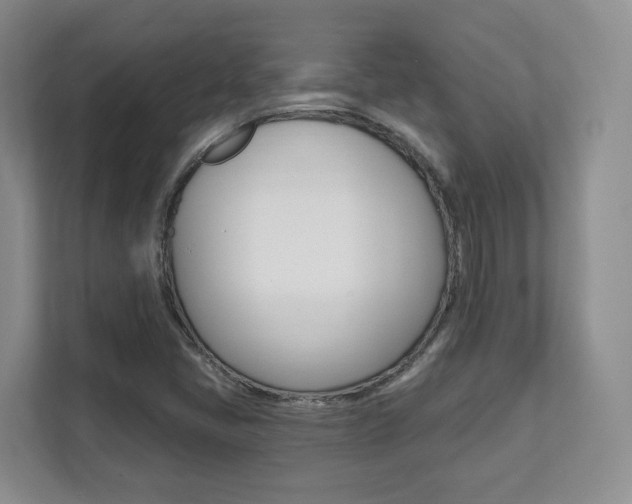 X0000112081405200908041001