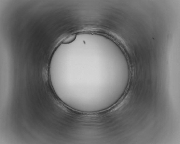 X0000112081409200908041001