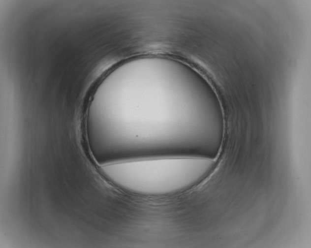 X0000112081410200908041001