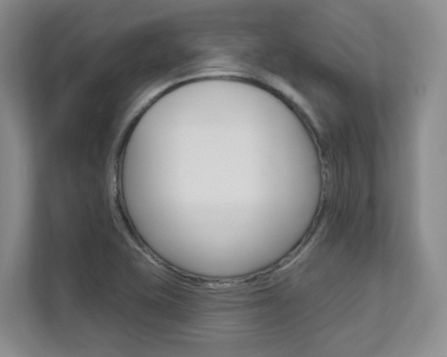 X0000112081415200908041001