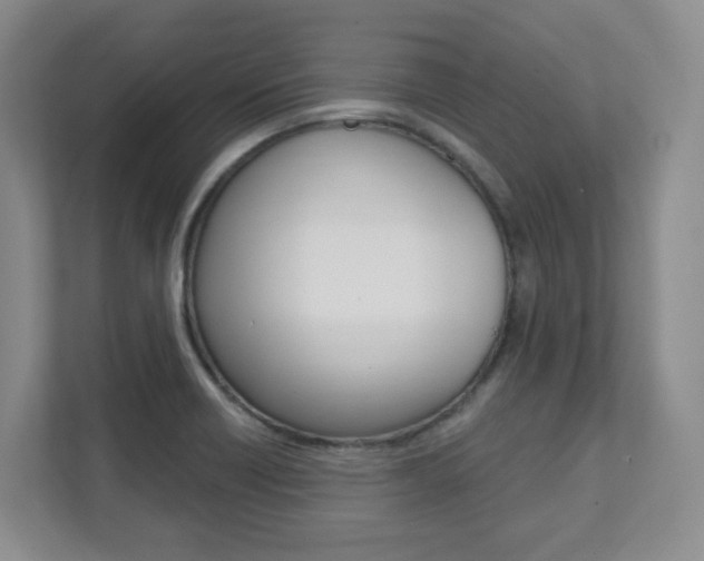 X0000112081418200908041001