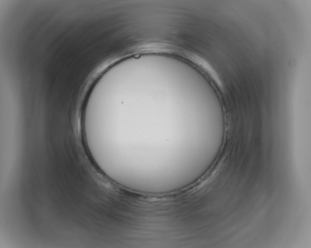 X0000112081419200908041001