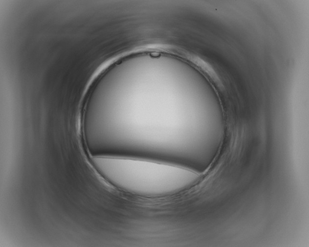 X0000112081420200908041001