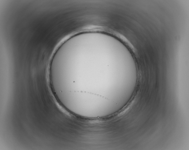 X0000112081421200908041001