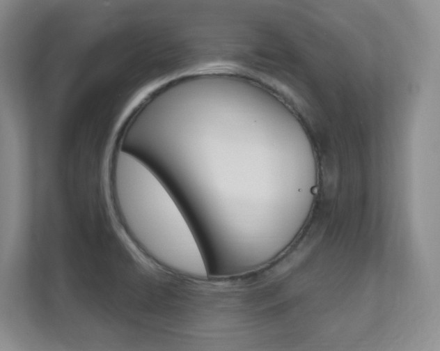 X0000112081422200908041001