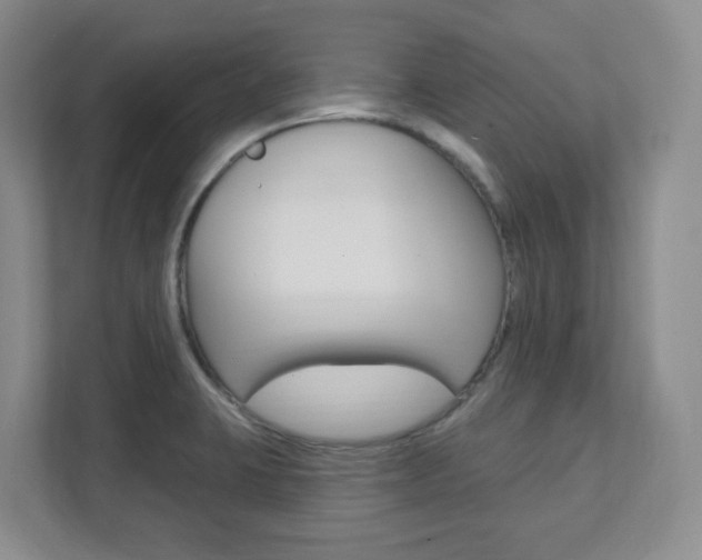 X0000112081423200908041001