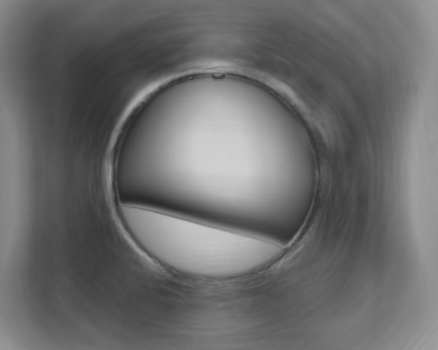X0000112081424200908041001