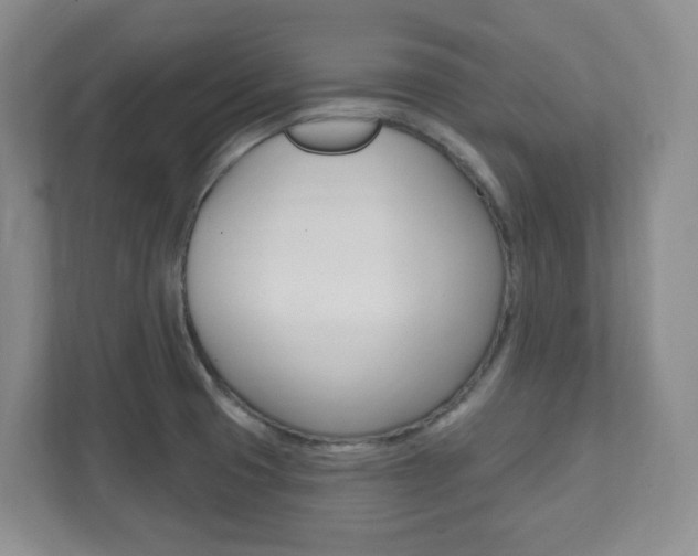 X0000112081425200908041001
