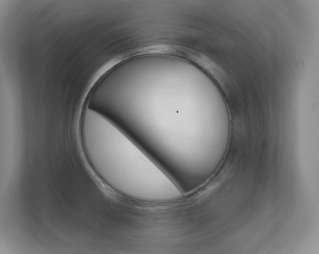 X0000112081426200908041001