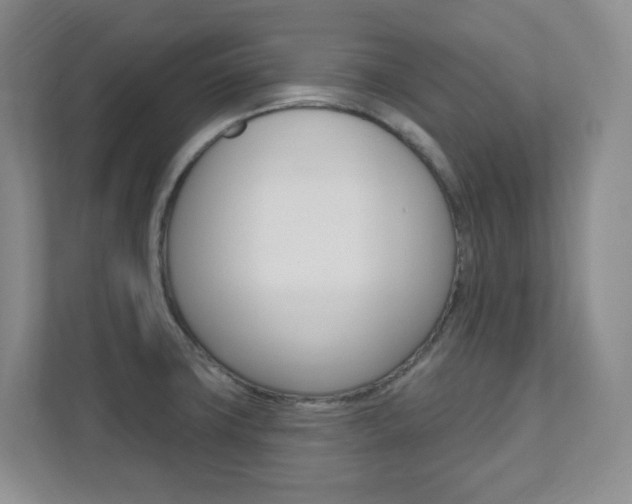 X0000112081427200908041001