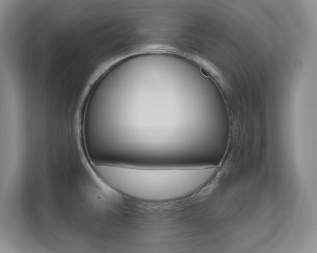 X0000112081430200908041002